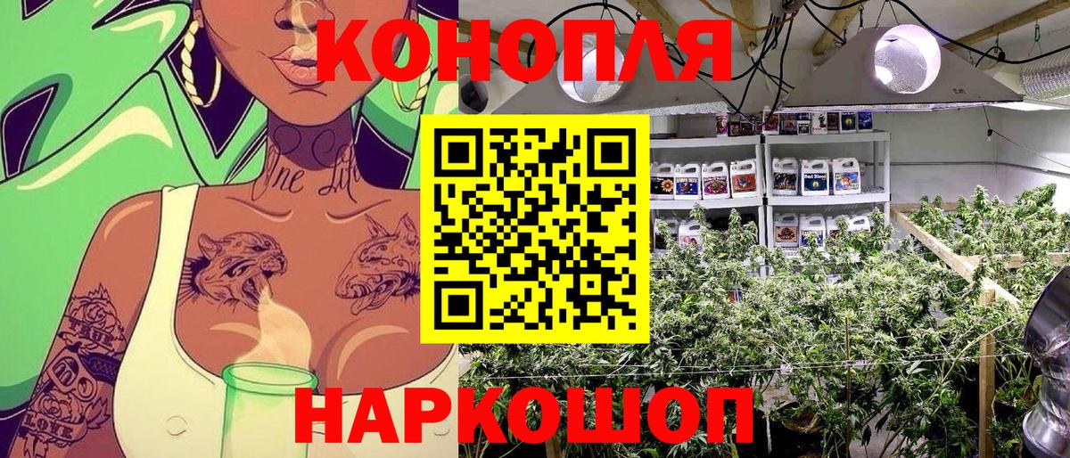 Шишки марихуана планчик Валуйки